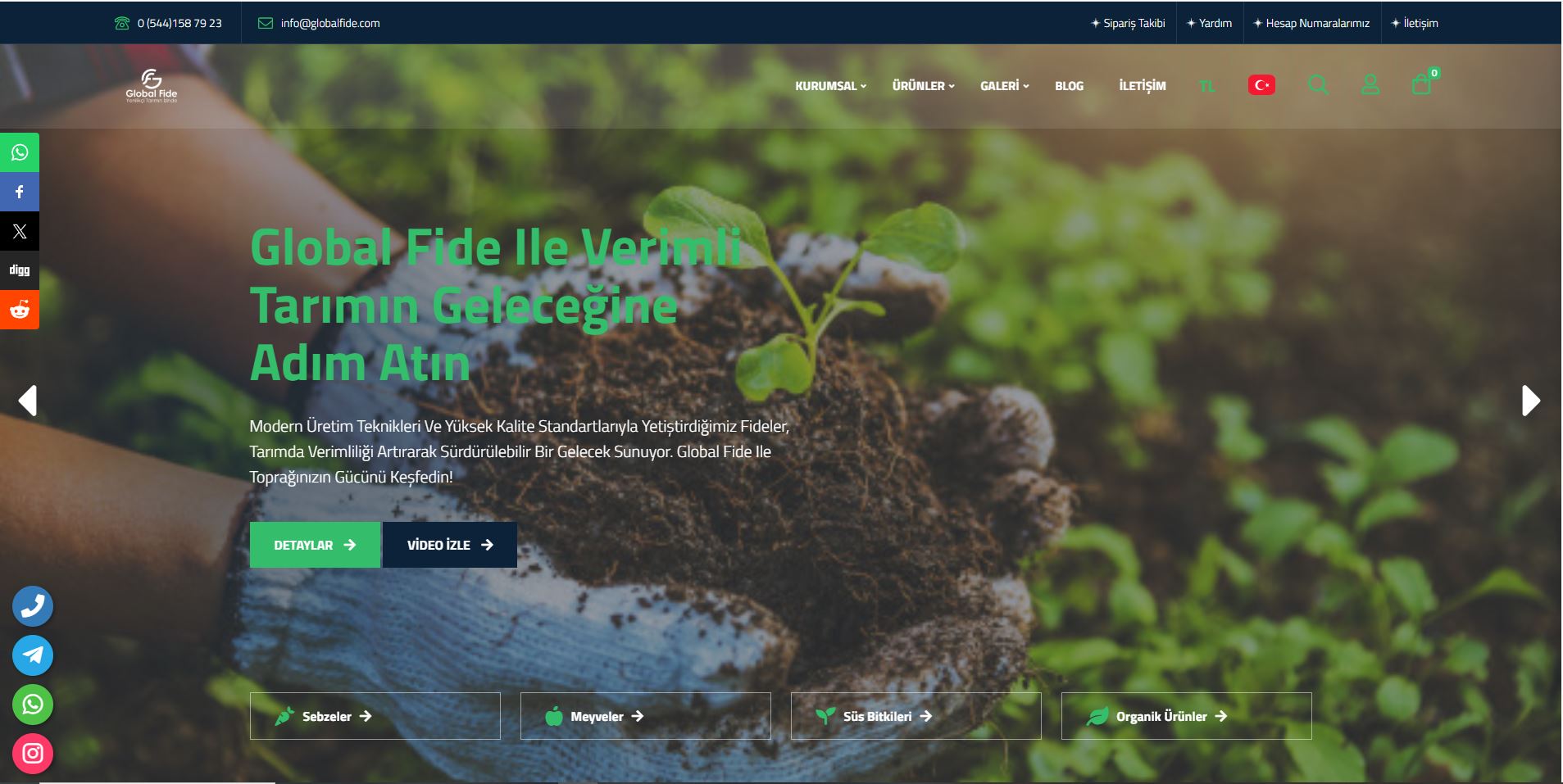 Festival Etkinlik Organizasyonu